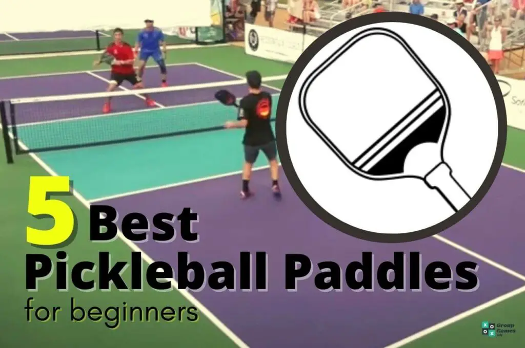 Best pickleball paddles for beginners image
