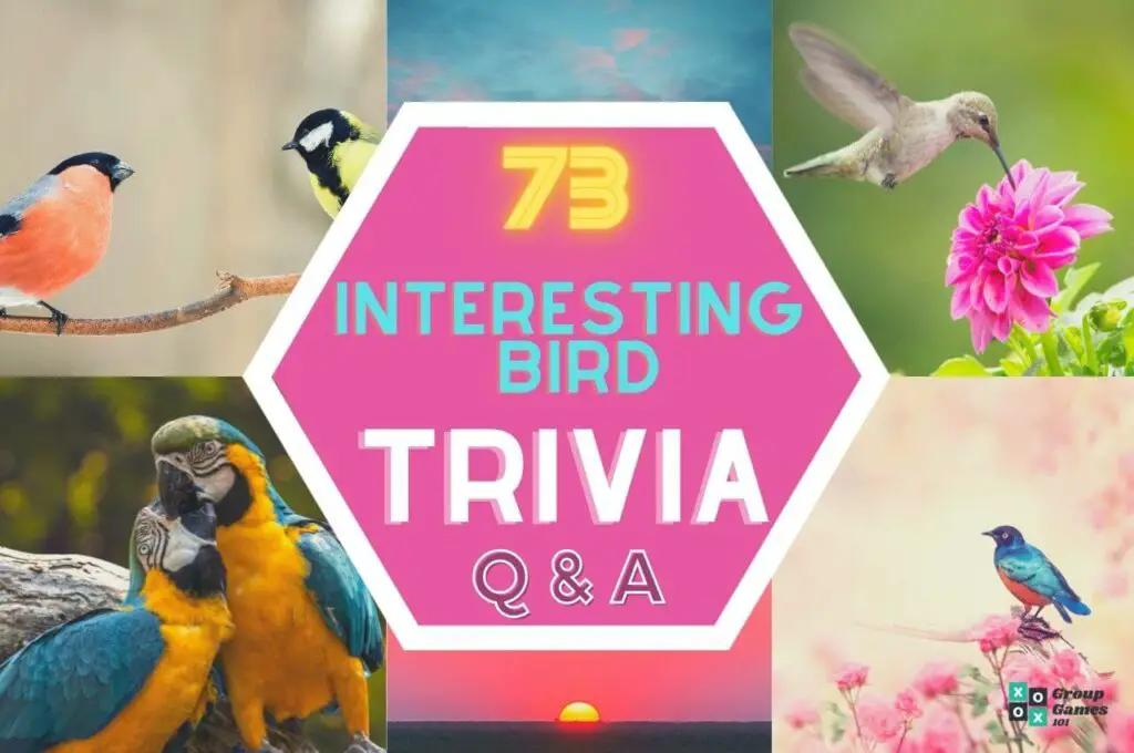 Bird trivia questions Image