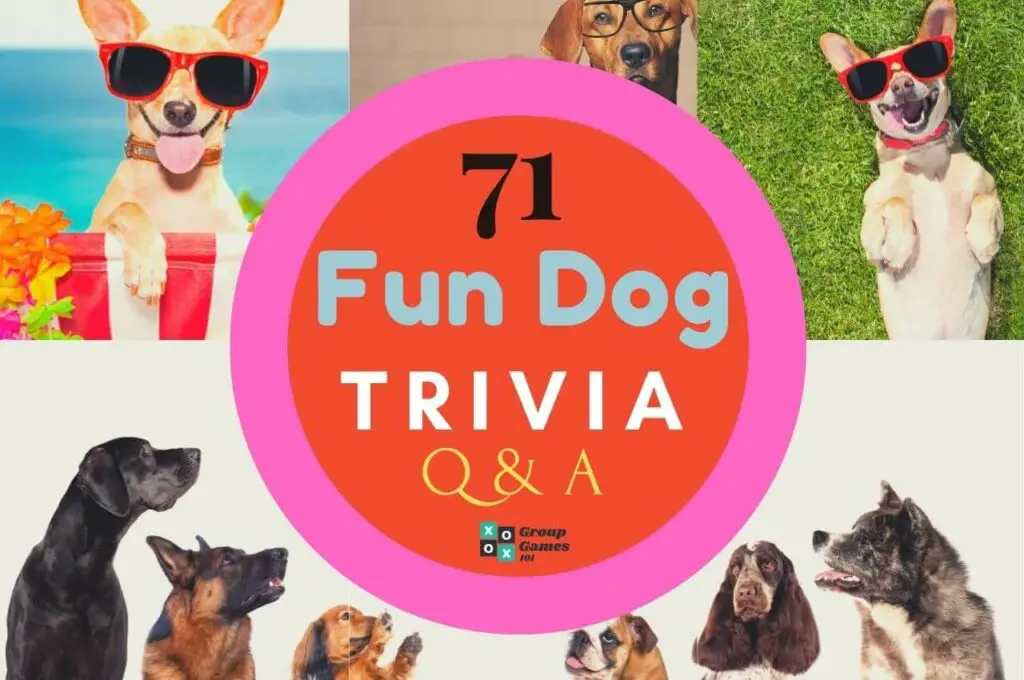 71 Fun Dog Trivia Questions and Answers Group Games 101