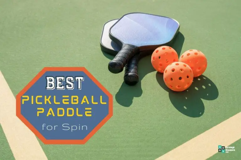 Best Pickleball paddle for spin Image