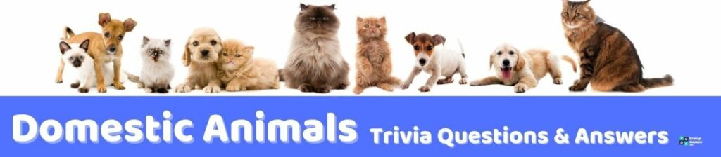 Domestic Animals Trivia Image