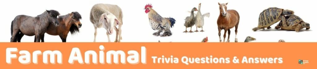 Farm Animal Trivia Image