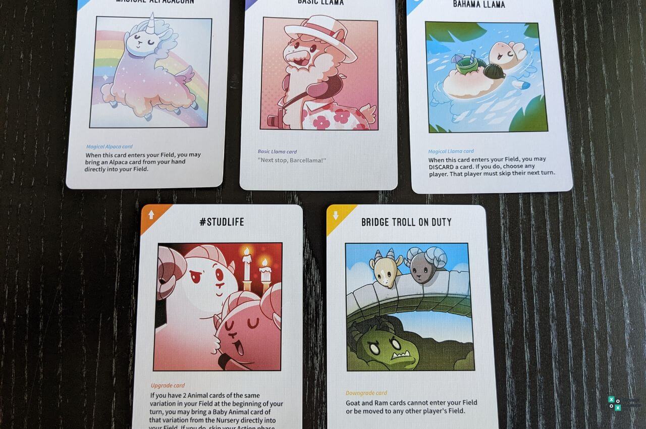 Llamas Unleashed Rules and How to Play Group Games 101