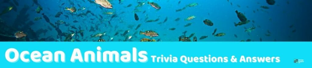 Ocean Animals Trivia Image