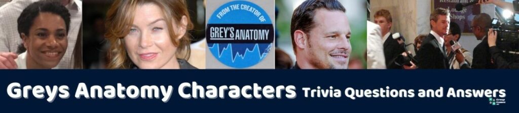 Greys Anatomy Characters Trivia Image