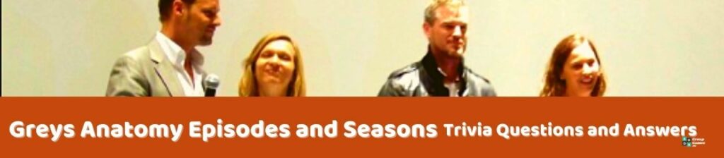 Greys Anatomy Episodes and Seasons Trivia Image