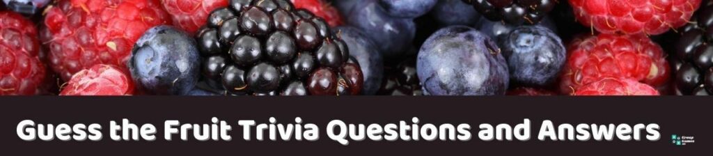 Guess the Fruit Trivia Image