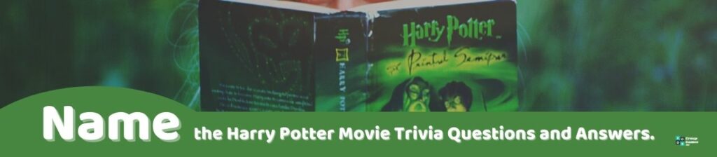 Name the Harry Potter Movie Trivia Image