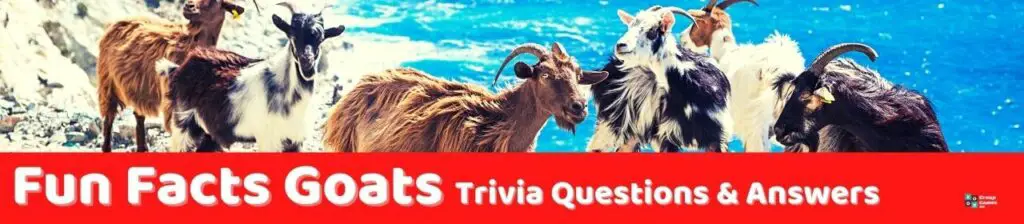 Fun Facts Goats Trivia Image