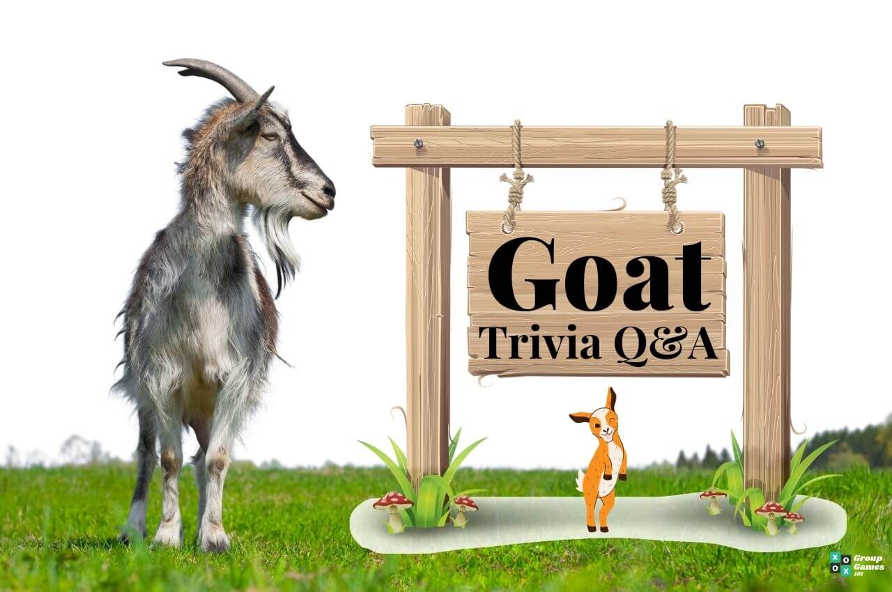 Goat trivia answers Image