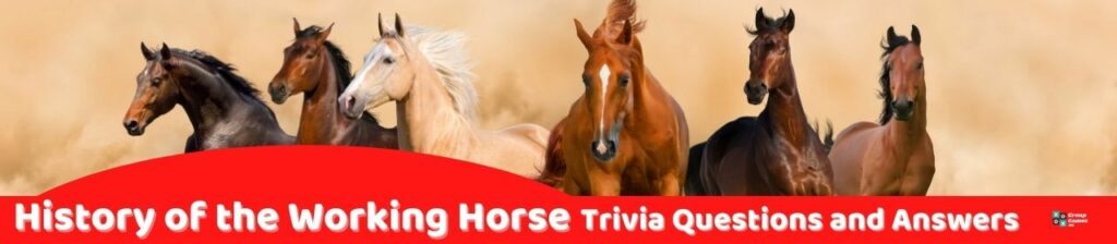 History of the Working Horse Trivia Questions and Answers