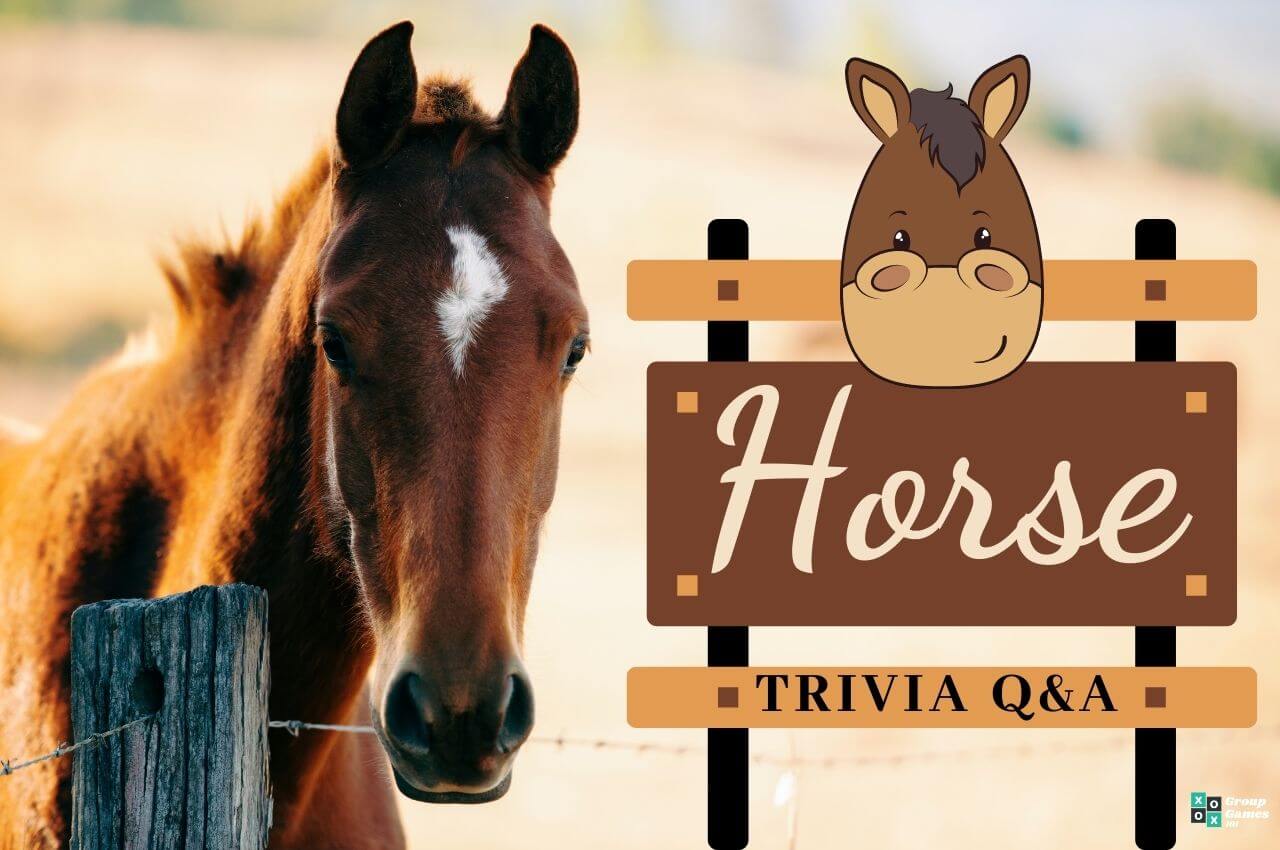 Horse trivia Image