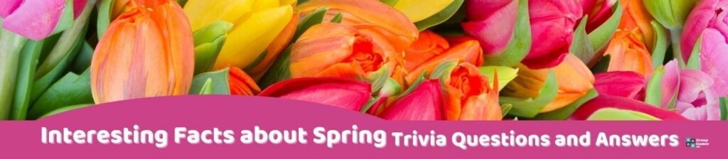 Interesting Facts about Spring Trivia Image
