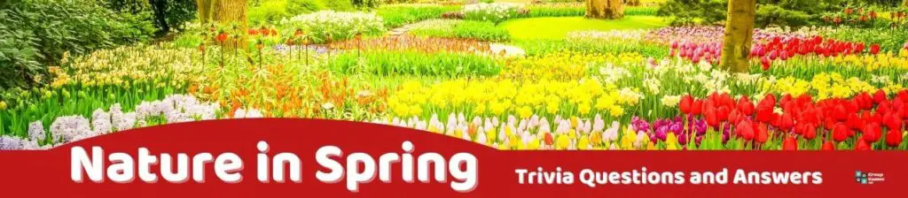 Nature in Spring Trivia Image