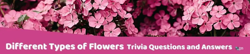 Different Types of Flowers Trivia Image