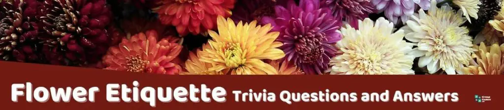 Flower Etiquette Trivia Image