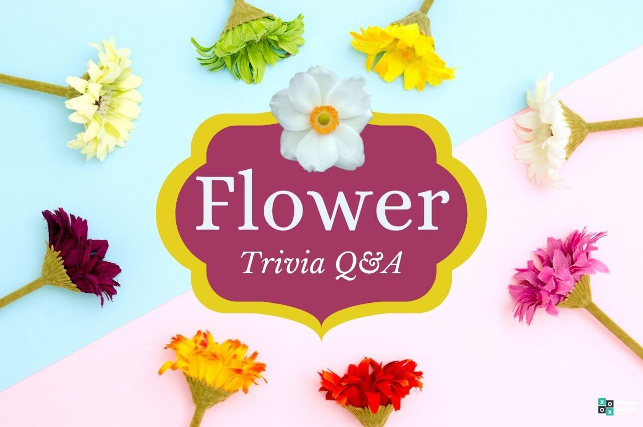 Flower trivia Image