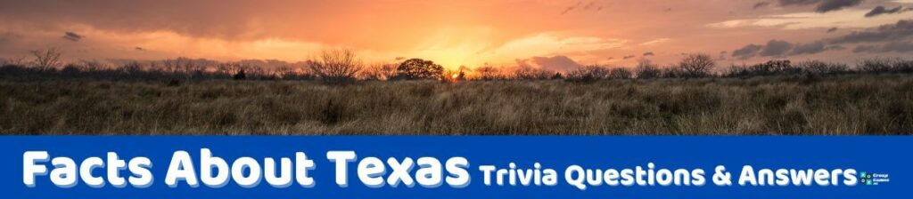 Facts About Texas Trivia Image
