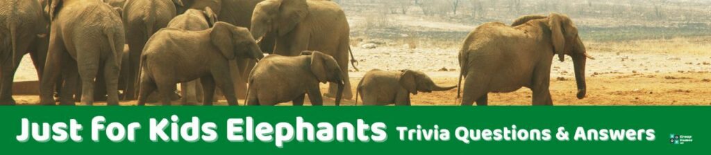 Elephant Trivia Questions Just for Kids Image