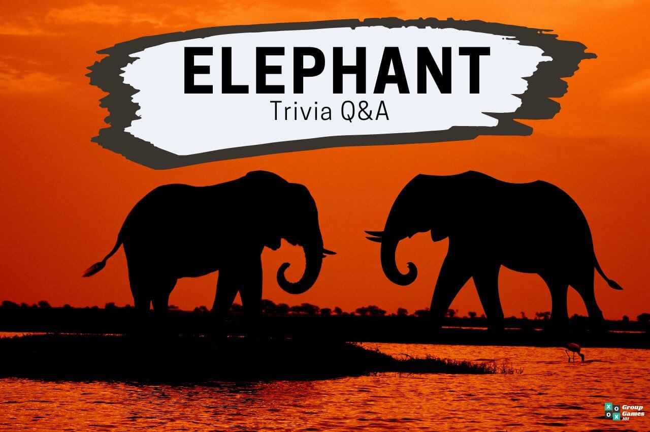 Elephant trivia questions Image