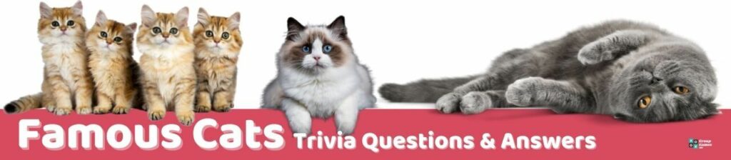 Famous Cats Trivia Image