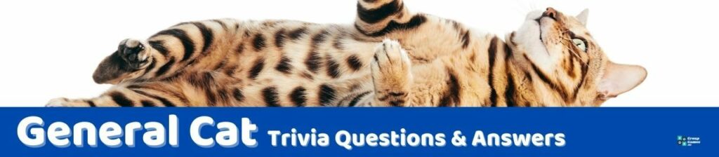 General Cat Trivia Image