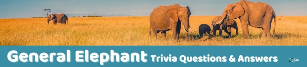 General Elephant Trivia Image