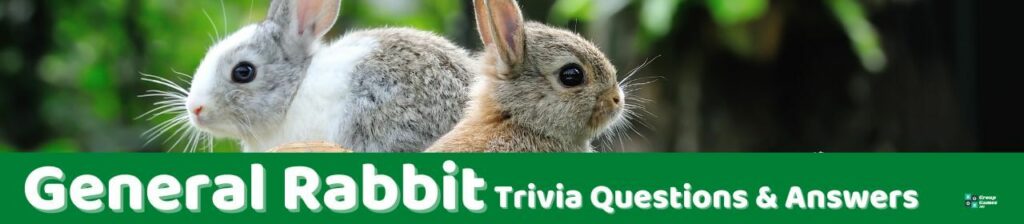 General Rabbit Trivia Image