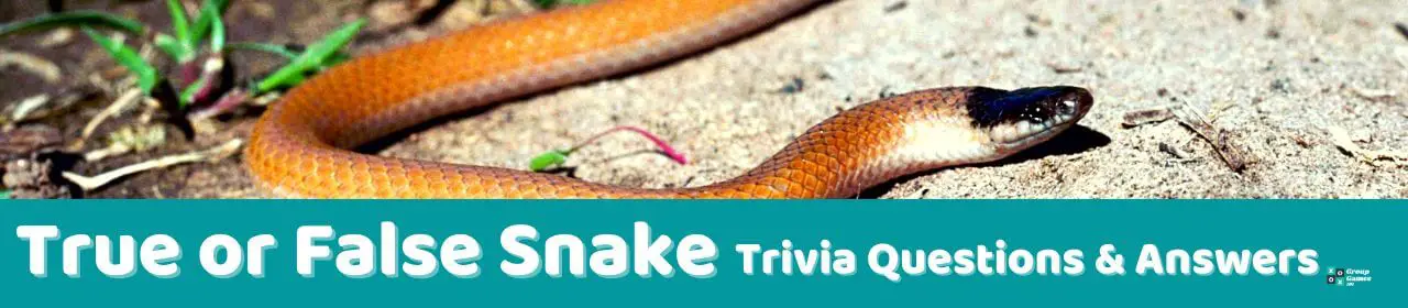 40 Snake Trivia Questions (and Answers) | Group Games 101