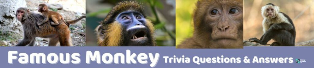 Famous Monkey Trivia Image