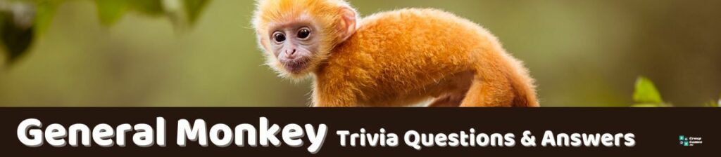 General Monkey Trivia Image