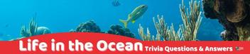 45 Ocean Trivia Questions (and Answers) | Group Games 101
