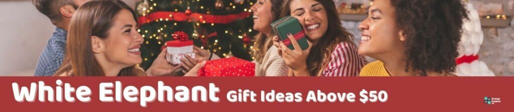 White Elephant Gift Ideas Above $50 Image