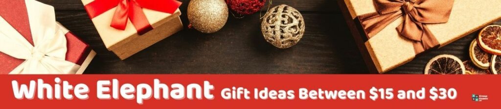 White Elephant Gift Ideas Between $15 and $30 Image