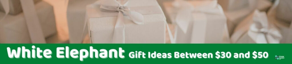 White Elephant Gift Ideas Between $30 and $50 Image