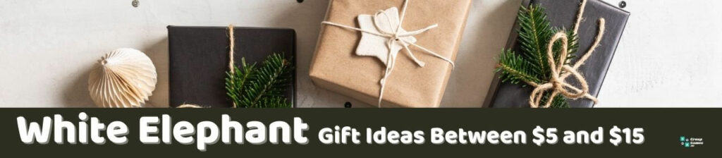 White Elephant Gift Ideas Between $5 and $15 Image