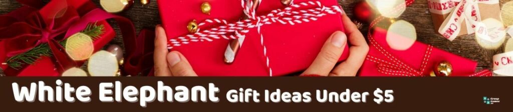 White Elephant Gift Ideas Under $5 Image