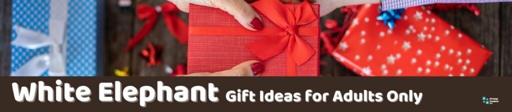 White Elephant Gift Ideas for Adults Only Image