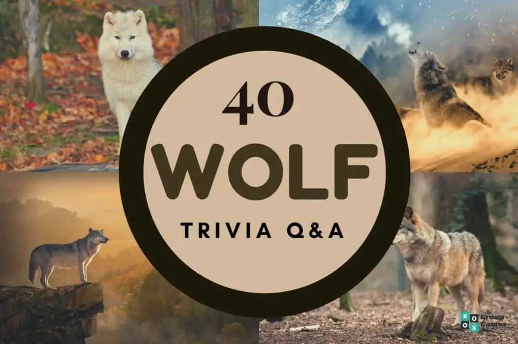 Wolf trivia questions image
