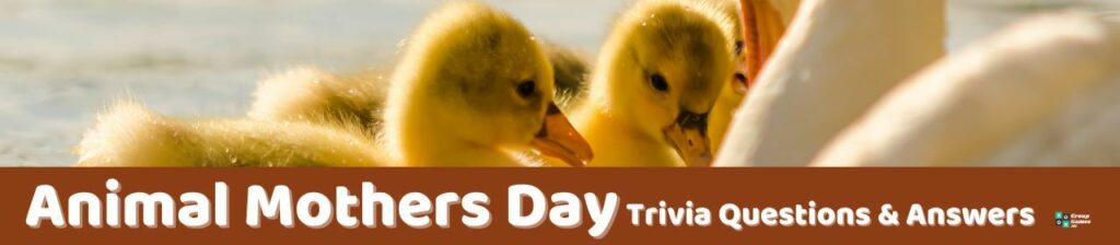 Animal Mothers Day Trivia