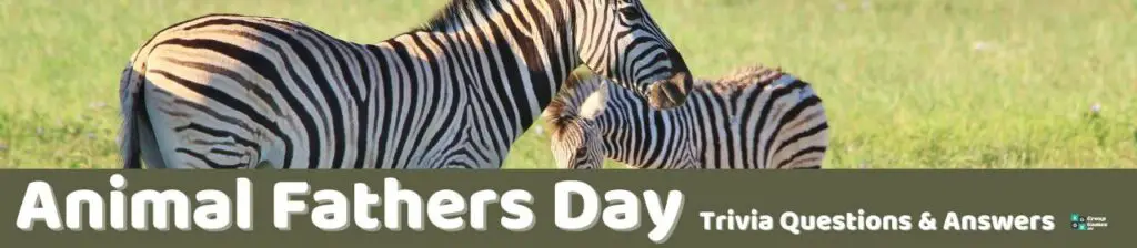 Animal Fathers Day Trivia