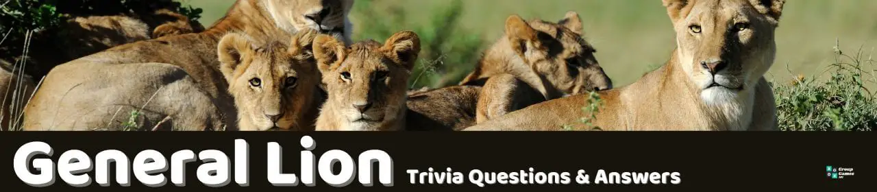 52 Lion Trivia Questions (and Answers) | Group Games 101