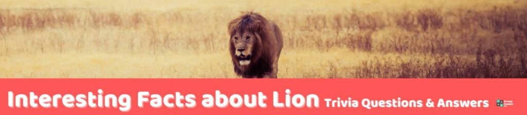 Interesting Facts about Lion Trivia