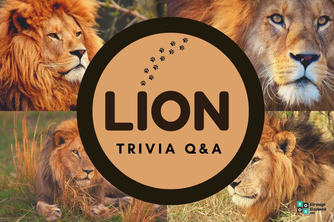 lion trivia image